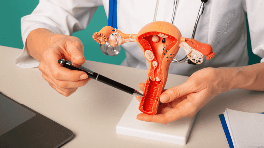 Preparação Endometrial | Dra. Nadine Ziegler | Ginecologia e Reprodução Assistida