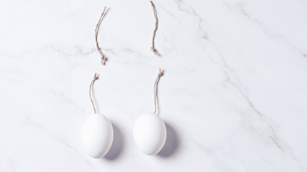 Reversão da Vasectomia | Dra. Nadine Ziegler | Ginecologia e Reprodução Assistida