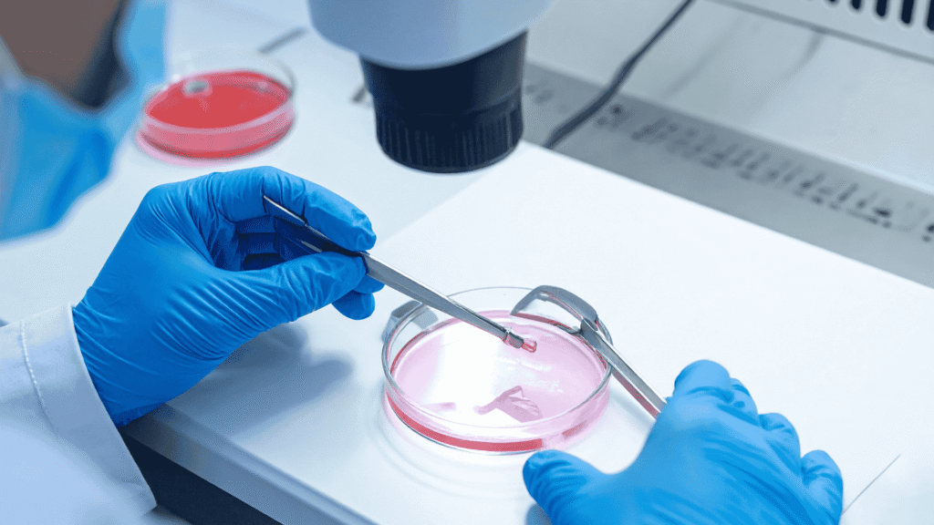 ICSI: O Que É e Quando É Indicada | Dra. Nadine Ziegler | Ginecologia e Reprodução Assistida