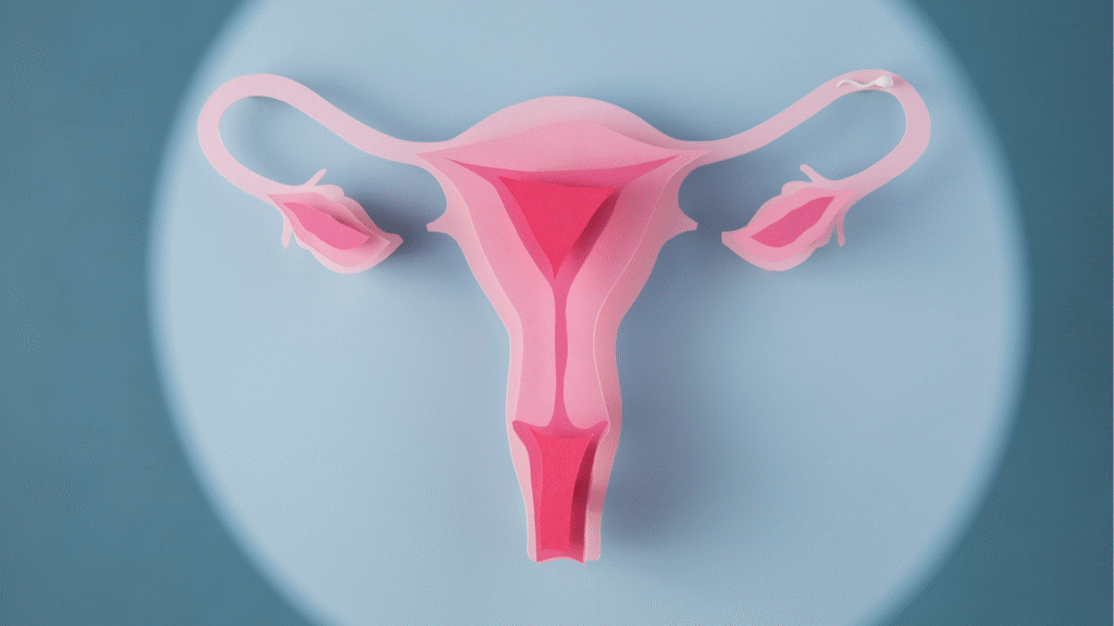 Miomas Uterinos | Dra. Nadine Ziegler | Ginecologia e Reprodução Assistida