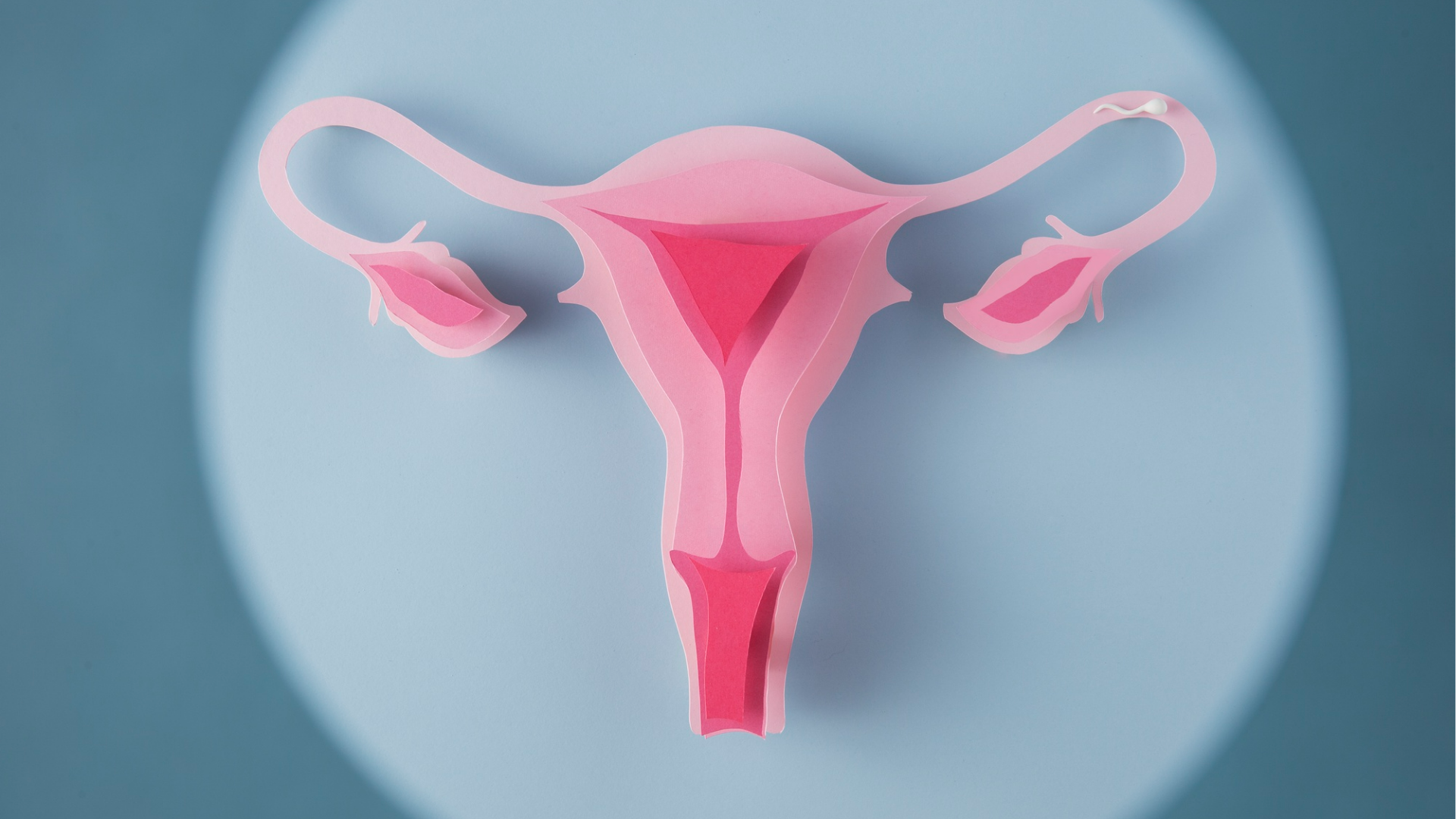 Miomas Uterinos | Dra. Nadine Ziegler | Ginecologia e Reprodução Assistida