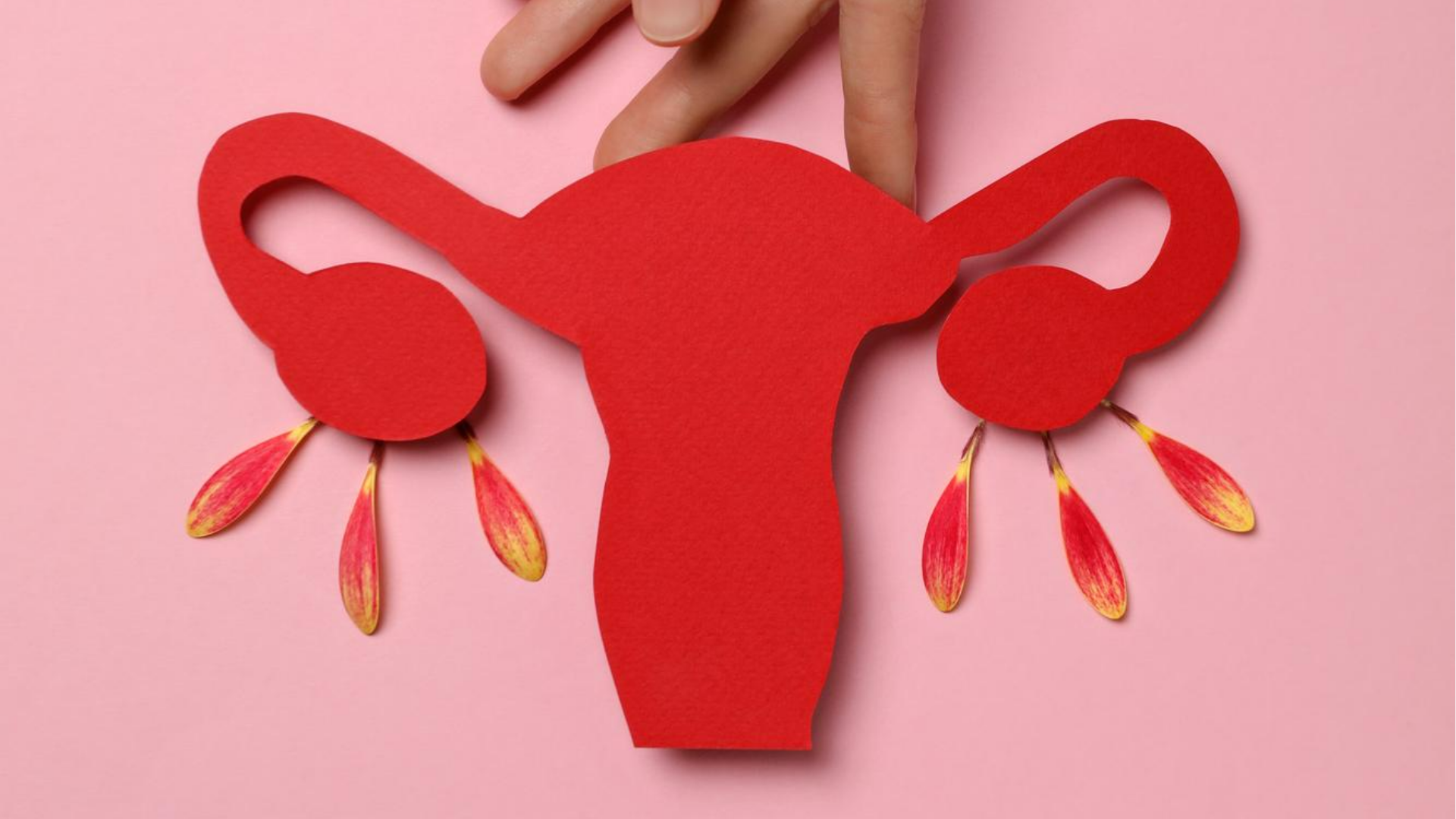 Reserva Ovariana | Dra. Nadine Ziegler | Ginecologia e Reprodução Assistida