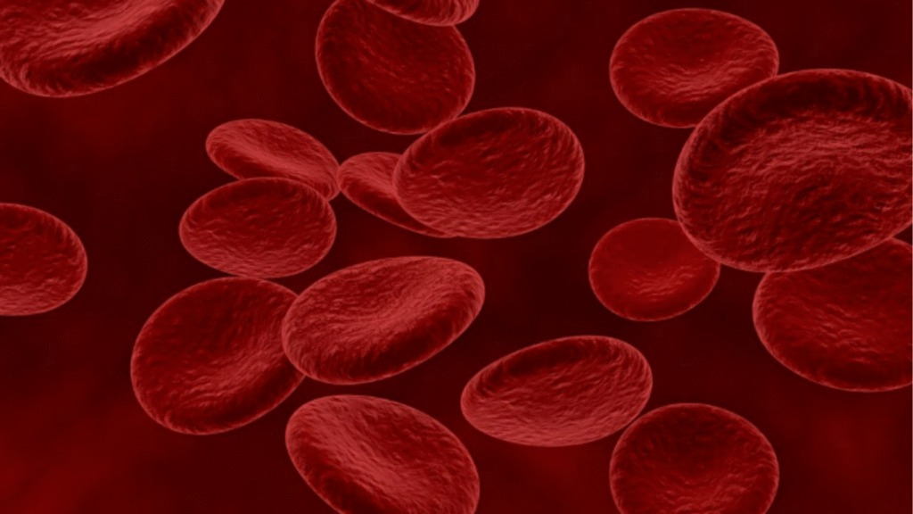 Trombofilias e Fertilidade | Dra. Nadine Ziegler | Ginecologia e Reprodução Assistida