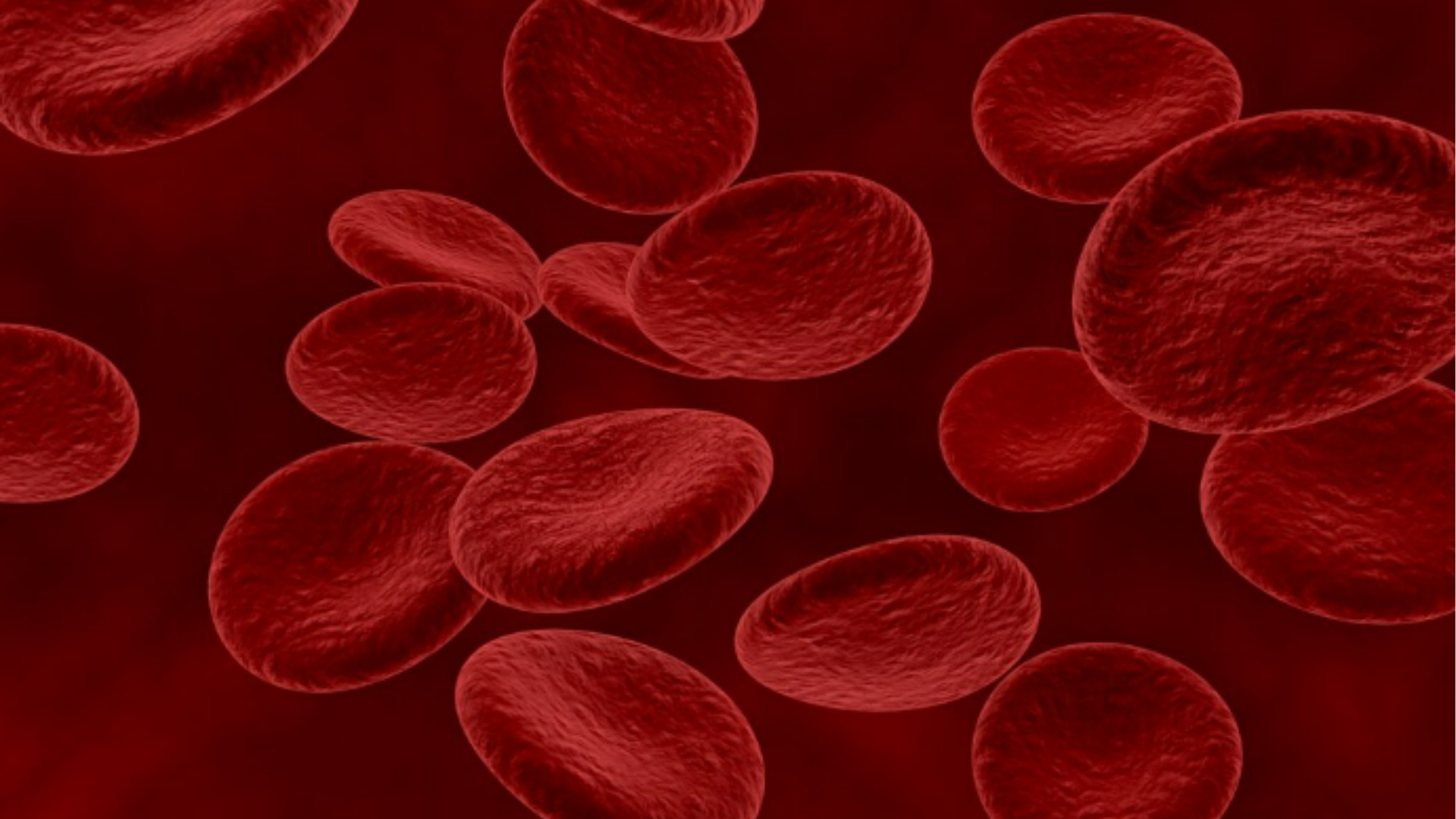 Trombofilias e Fertilidade | Dra. Nadine Ziegler | Ginecologia e Reprodução Assistida